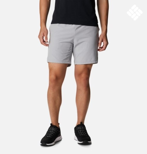 Columbia Alpine Chill Zero Shorts Herre Lyse Grå | 75029X