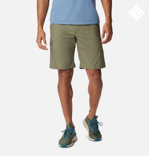 Columbia Brentyn Trail Vanlige Cargo Shorts Herre Olivengrønne | 90621X