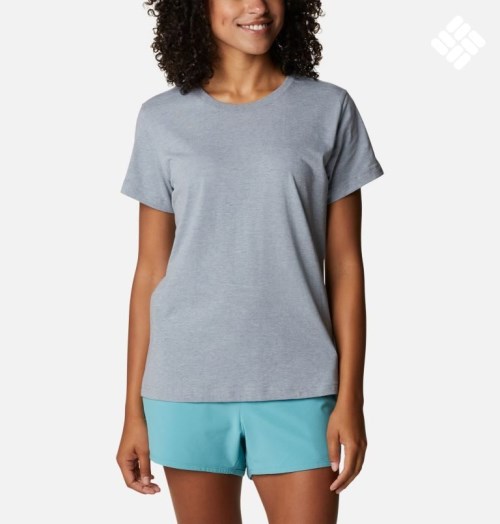 Columbia Sapphire Point Kort Sleeve T-skjorte Dame Grå | 94178W