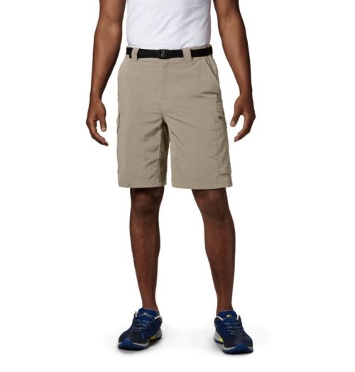 Columbia Silver Ridge Cargo Shorts Herre Khaki | 79310X