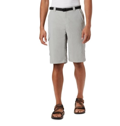 Columbia Silver Ridge Cargo Shorts Herre Lyse Grå | 86019D