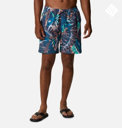 Columbia Summerdry Shorts Herre Multicolor | 86405V