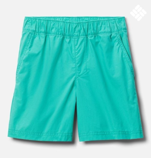 Columbia Washed Out Shorts Barn Turkis | 58364H