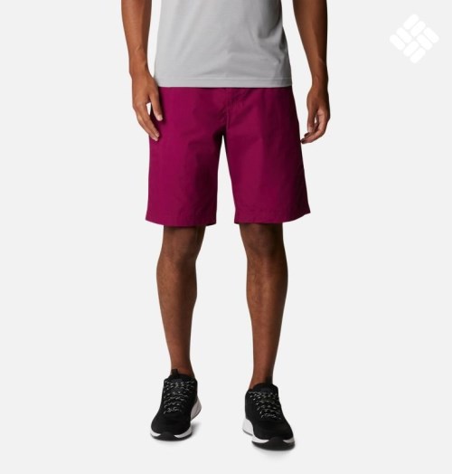 Columbia Washed Out Shorts Herre Fuchsia | 17839H