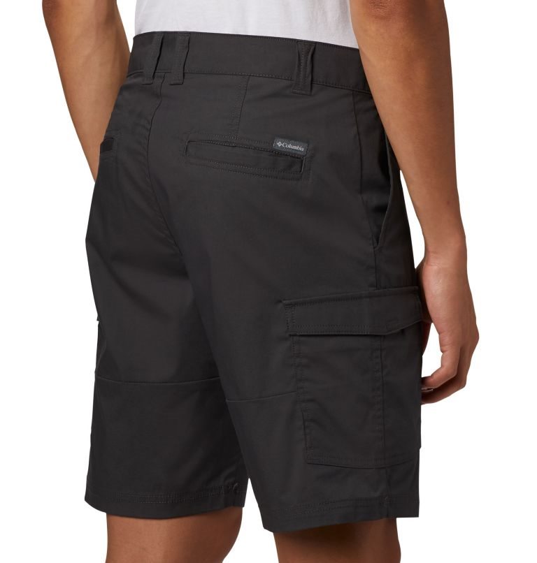 Columbia Brentyn Trail Vanlige Cargo Shorts Herre Svarte | 14297K