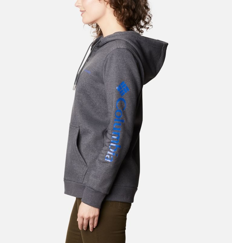 Columbia Logo Full Zip Hettegensere Dame Mørke Grå | 93254A