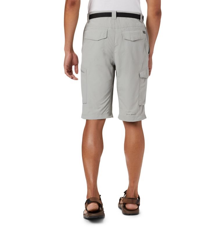 Columbia Silver Ridge Cargo Shorts Herre Lyse Grå | 86019D