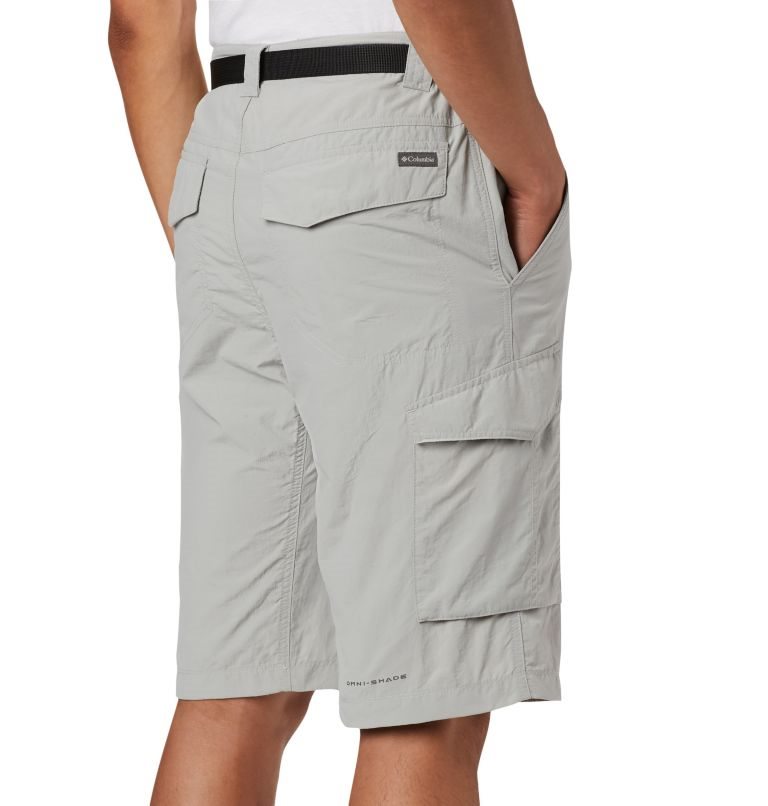 Columbia Silver Ridge Cargo Shorts Herre Lyse Grå | 86019D